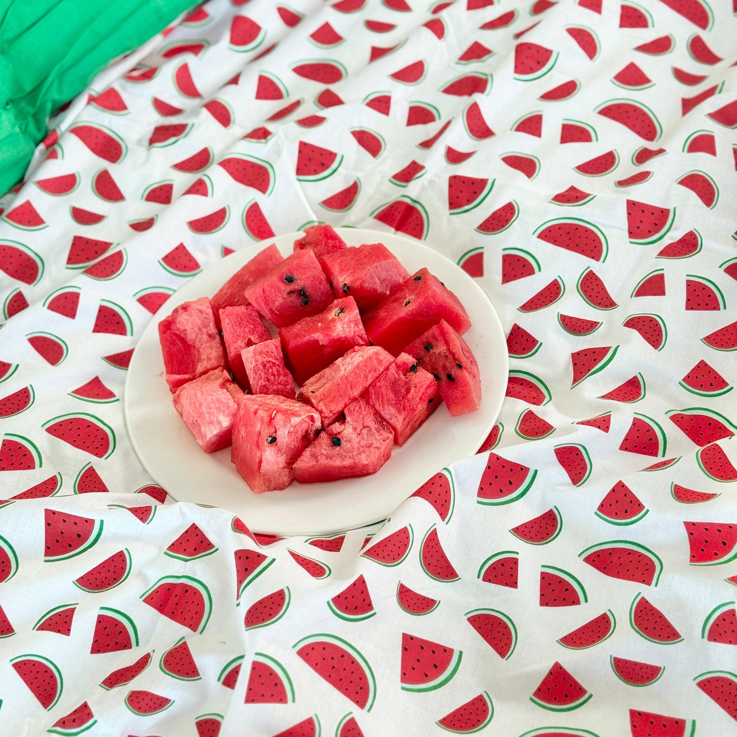 COMFYB 100% COTTON REVERSIBLE BED SET WATERMELON