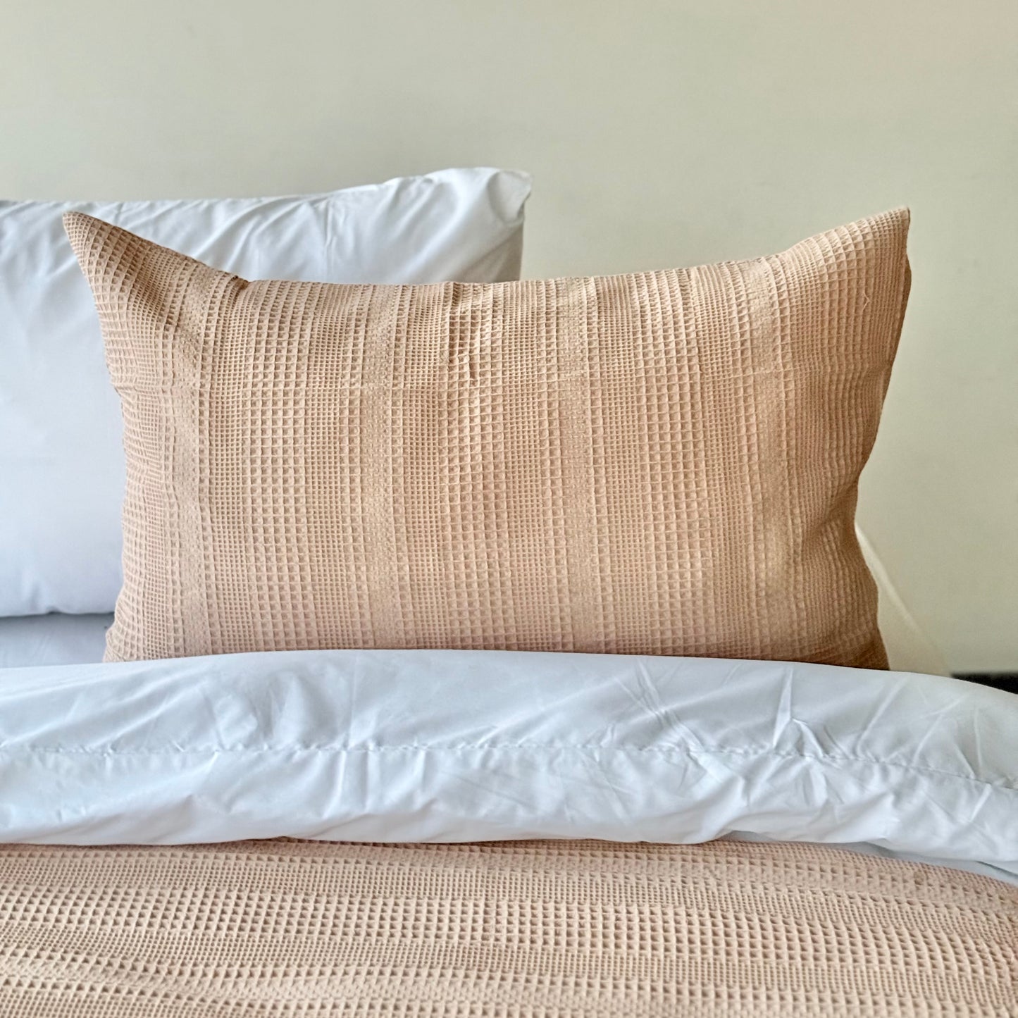 COMFYB 100% COTTON SOLID PIKE PILLOWCASES SET 2-PIECE