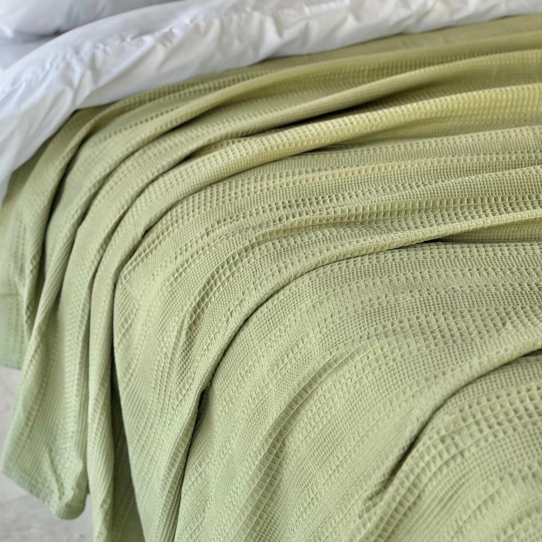 COMFYB 100% COTTON SOLID PIKE BLANKET