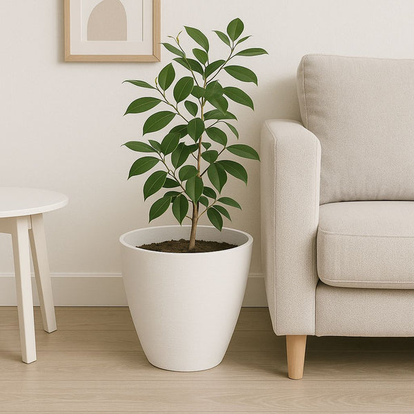 MINIMALIST INDDOR PLANT POT ROUND WHITE