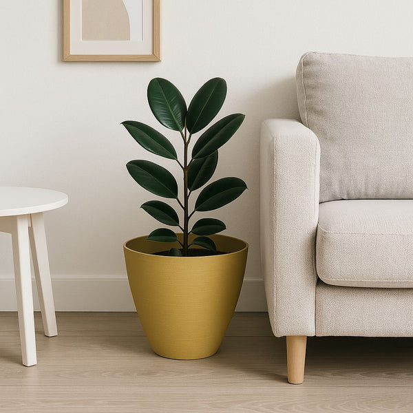 MINIMALIST INDDOR PLANT POT ROUND GOLD