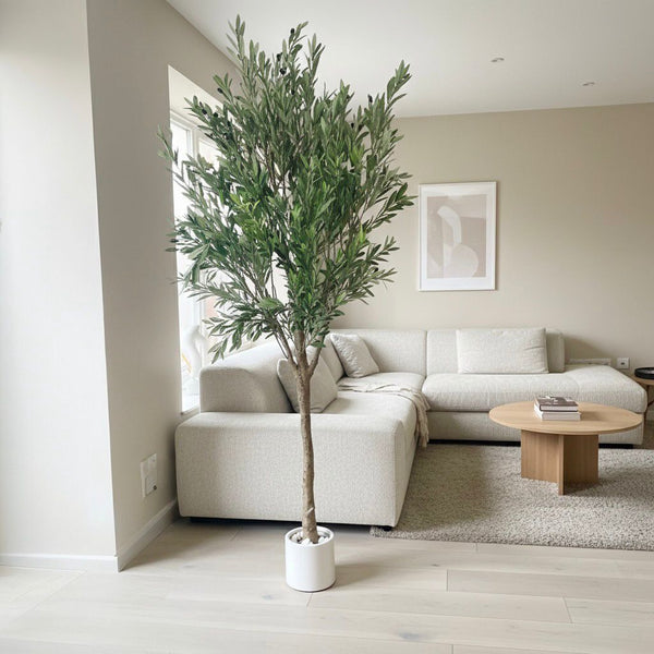 ARTIFICIAL TREE OLIVE 240CM WITH WHITE POT
