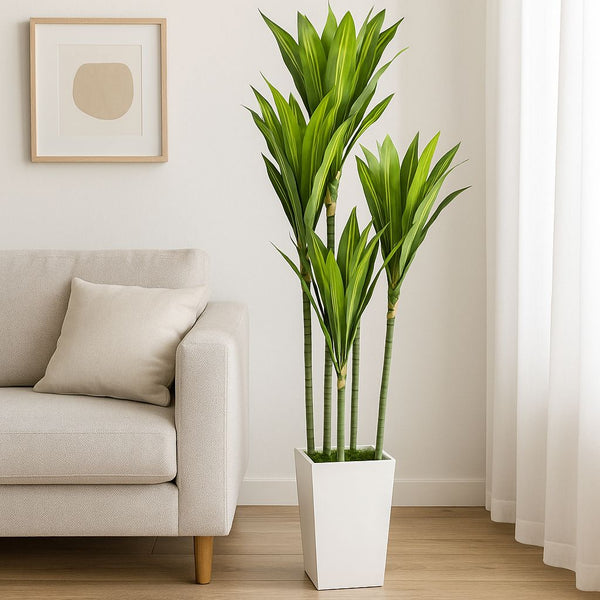 ARTIFICIAL TREE WITH WHITE POT DRACAENA 180CM